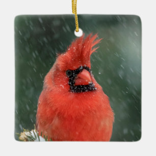 Adorno De Cerámica Cardenal en un pino durante una tormenta de nieve