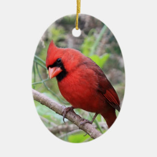 Adorno De Cerámica Cardenal Norte - Ave Navidad Tradicional