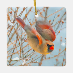 Adorno De Cerámica Cardenal norte volando - Fotografía original