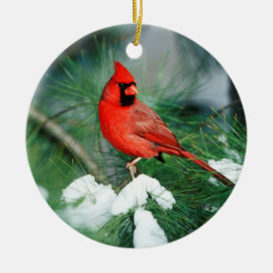 Adorno De Cerámica Cardenal norteño macho en árbol, IL