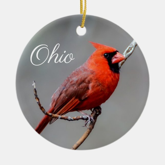 Adorno De Cerámica Cardenal Ohio Ornament (Frente)
