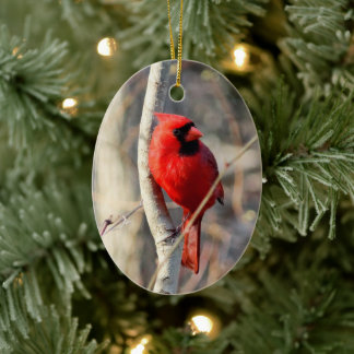 Adorno De Cerámica Cardenal rojo