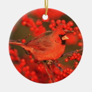 Adorno De Cerámica Cardenal rojo del norte macho, IL