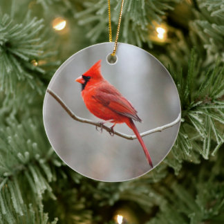 Adorno De Cerámica Cardenal rojo Escudo