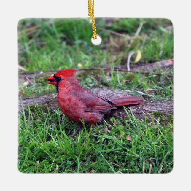Adorno De Cerámica Cardinal Ornament (Anverso)