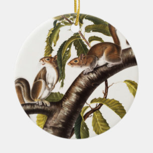 Adorno De Cerámica Carolina Gray Squirrel (Sciurus Carolinensis)