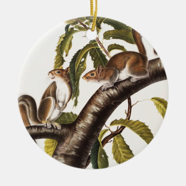 Adorno De Cerámica Carolina Gray Squirrel (Sciurus Carolinensis) (Frente)