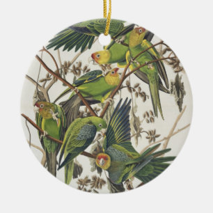 Adorno De Cerámica Carolina Parakeet, de 'Birds of America', 1829