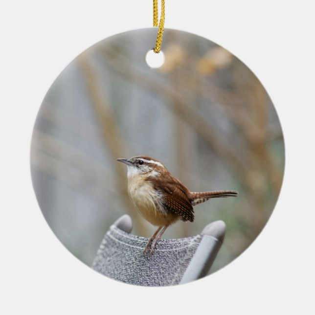 Adorno De Cerámica Carolina Wren (Frente)