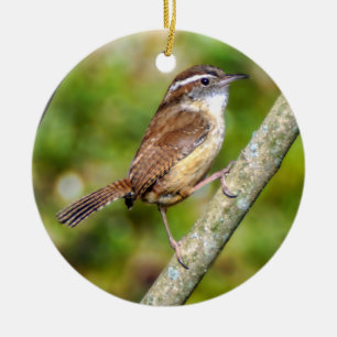 Adorno De Cerámica Carolina Wren Ornament