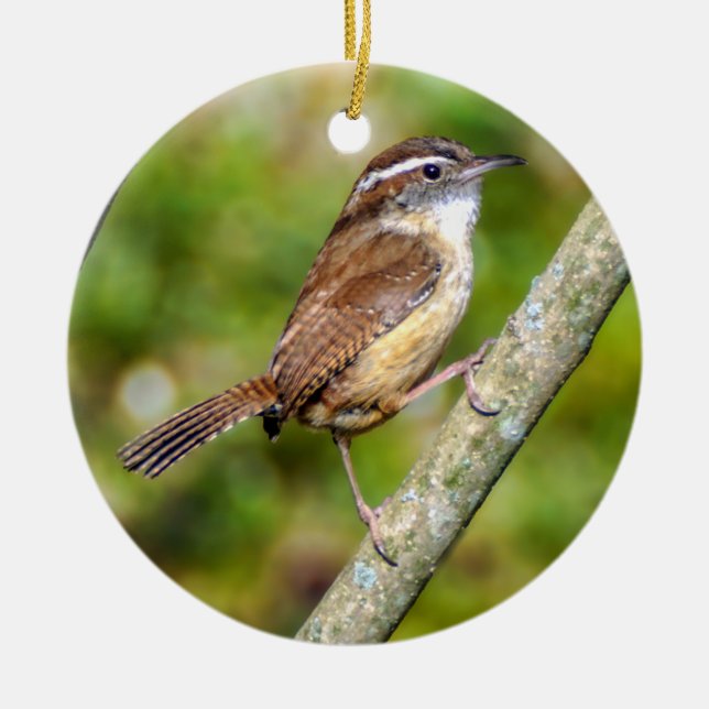 Adorno De Cerámica Carolina Wren Ornament (Frente)