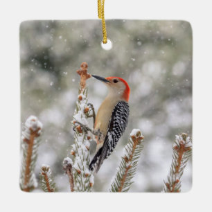 Adorno De Cerámica Carpintero de vientre rojo en la nieve