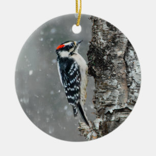 Adorno De Cerámica Carpintero lechoso en nieve - Fotografía original