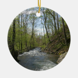 Adorno De Cerámica Carrera de cedro en cañón de roble blanco