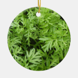 Adorno De Cerámica Carrot Tops Personalizado Cumpleaños