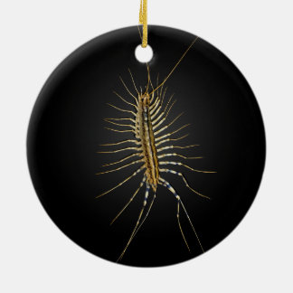 Adorno De Cerámica Casa Centipede Scutigera Coleoptrata