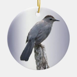 Adorno De Cerámica Catbird