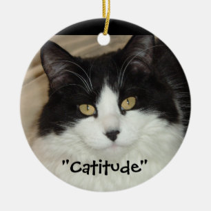 Adorno De Cerámica ¡Catitud de gato blanco y negro!