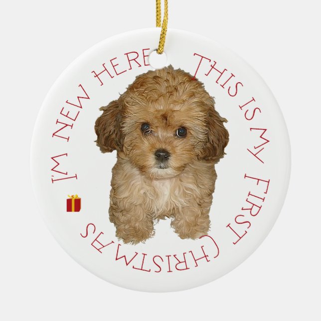 Adorno De Cerámica Cavachon Puppy Primera Navidad (Frente)