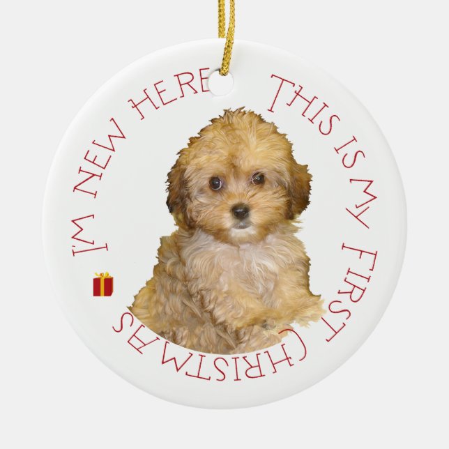 Adorno De Cerámica Cavachon Puppy Primera Navidad (Frente)