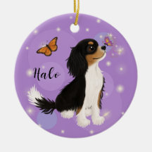 Cavalier de tres colores King Charles Spaniel