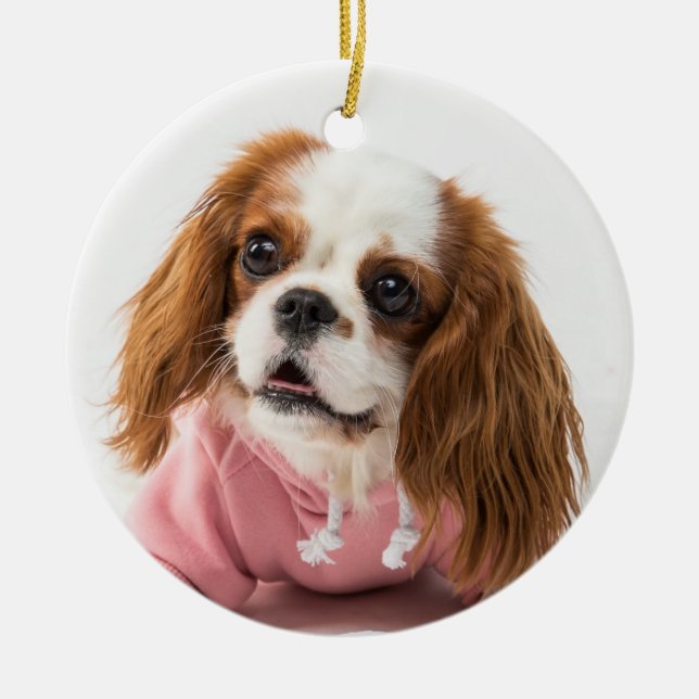 Adorno De Cerámica Cavalier King Charles Spaniel en chaqueta rosa (Frente)