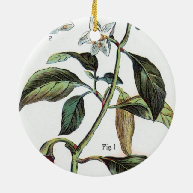 Adorno De Cerámica cayenne pepper Flower (Atrás)