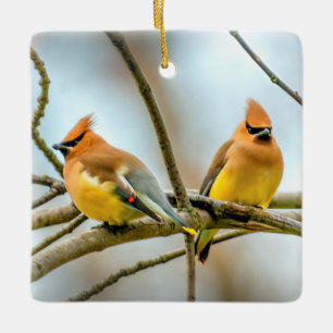 Adorno De Cerámica Cedar Waxwing - Fotografía original
