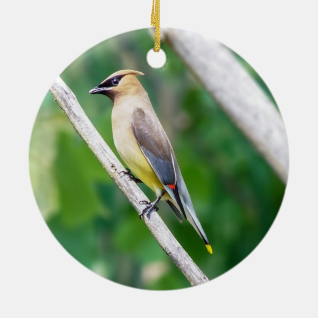 Adorno De Cerámica Cedar Waxwing Ornament (Atrás)