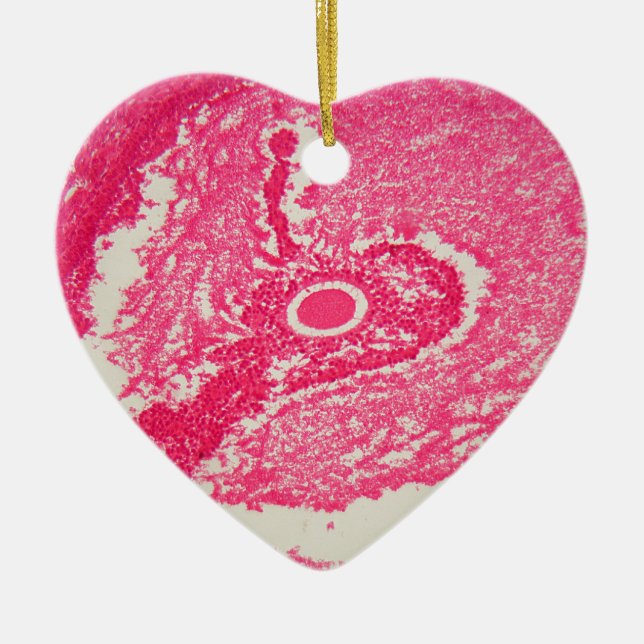 Adorno De Cerámica Células del ovario debajo del microscopio (Frente)