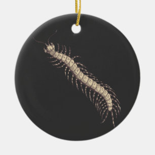 Adorno De Cerámica Centipede Ornament