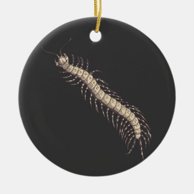 Adorno De Cerámica Centipede Ornament (Frente)