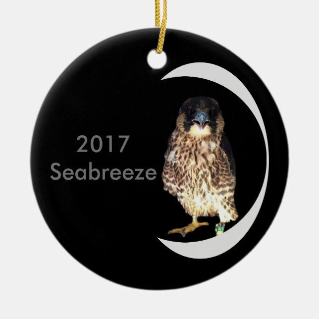 Adorno De Cerámica Cerámica Ornament Seabreeze 2017 (Frente)