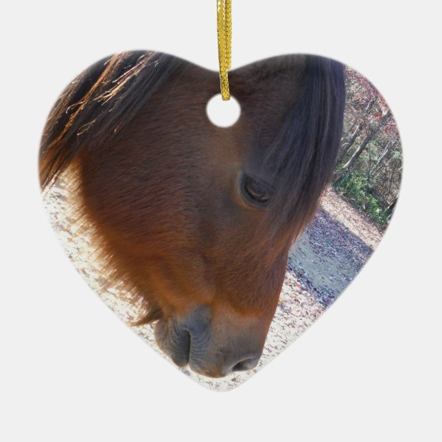 Adorno De Cerámica Cerco del caballo marrón, Pequeño marrón (Frente)