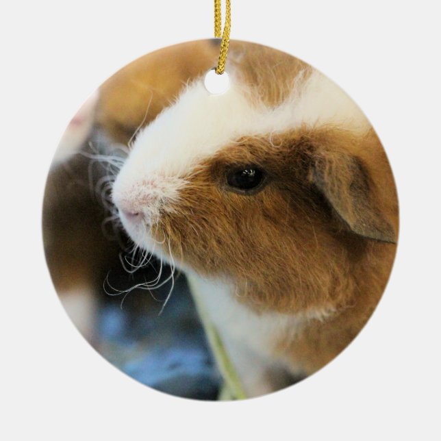 Adorno De Cerámica Cerdo (Frente)