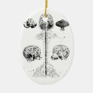Adorno De Cerámica Cerebro y columna vertebral