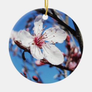 Adorno De Cerámica Cerezo en flor 2