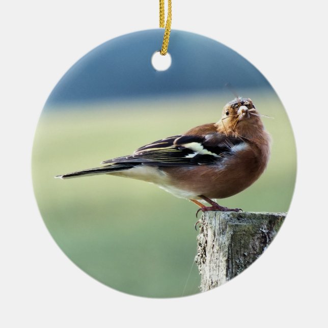 ADORNO DE CERÁMICA CHAFFINCH (Frente)