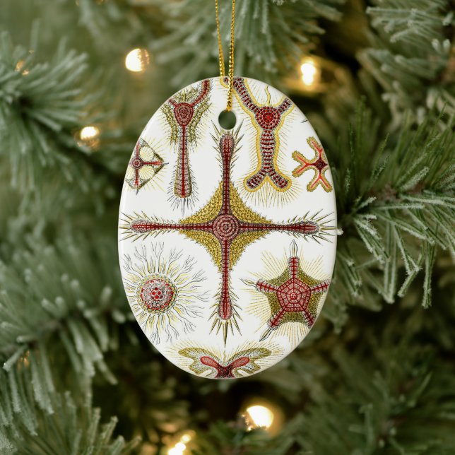 Adorno De Cerámica Chamomile salvaje de Ernst Haeckel, naturaleza vin (Árbol)