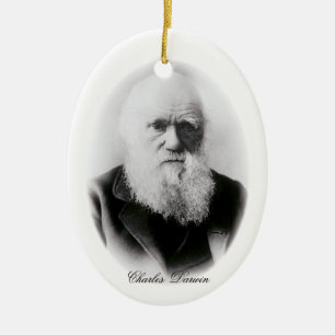 Adorno De Cerámica Charles Darwin Vignette