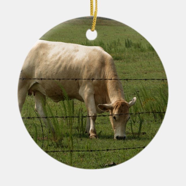 Adorno De Cerámica Charolais acobardan el pasto en campo (Frente)