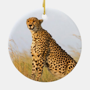 Adorno De Cerámica Cheetah