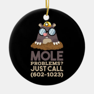 Adorno De Cerámica Chemistry - Mole Problems