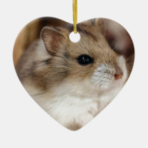 Adorno De Cerámica Chibby