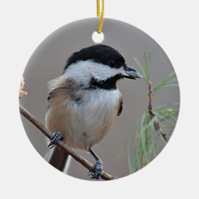 Adorno De Cerámica Chickadee (Frente)