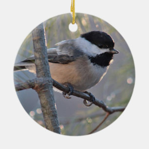 Adorno De Cerámica Chickadee