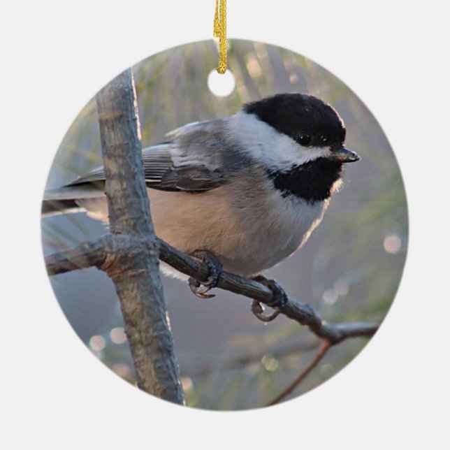 Adorno De Cerámica Chickadee (Atrás)