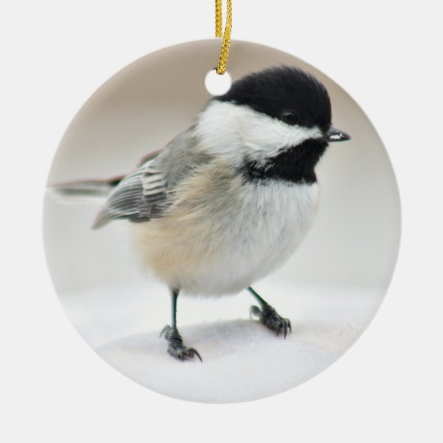 Adorno De Cerámica Chickadee (Frente)