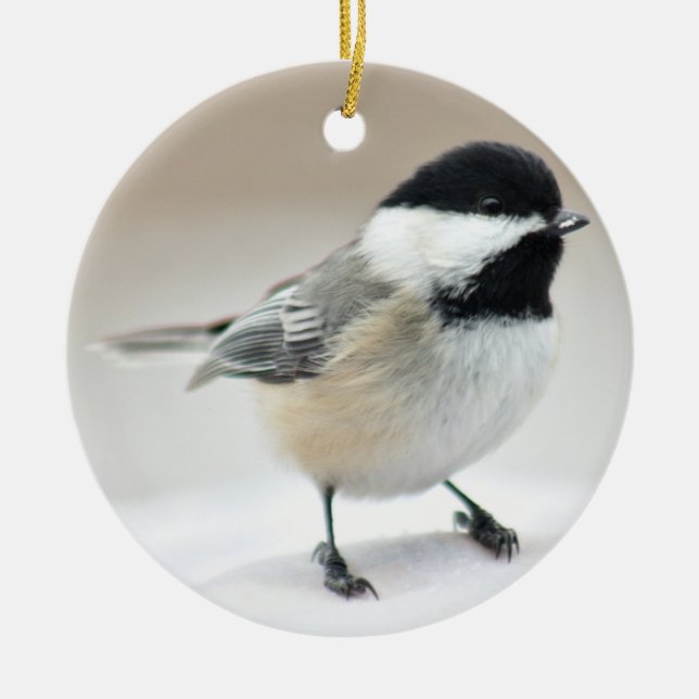 Adorno De Cerámica Chickadee (Frente)