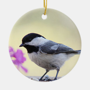 Adorno De Cerámica Chickadee